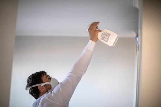 Best Local Mold Removal Service  in Millersburg, OR