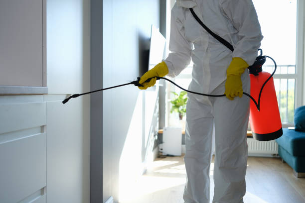 Best Office Mold Removal Services  in Millersburg, OR