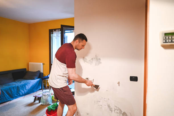 Trusted Millersburg, OR Mold Removal Experts