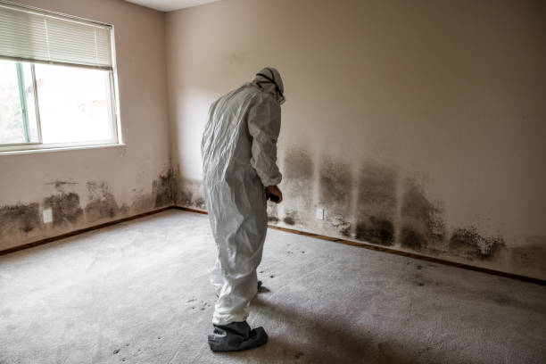 Best Crawl Space Mold Removal  in Millersburg, OR