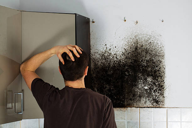 Best Certified Mold Removal  in Millersburg, OR